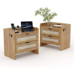Comodino in vimini in set da 2 pezzi con stazione di ricarica Type-C, comodino bohémien con 2 cassetti per camera da letto
